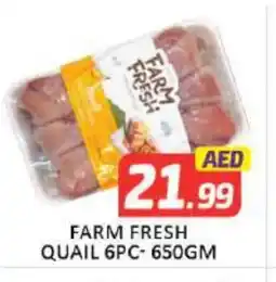 Mango Hypermarket LLC FARM FRESH Quail offer