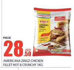 Bismi Wholesale AMERICANA Chicken Fillet offer