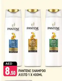 Shaklan PANTENE Shampoo / Conditioner offer