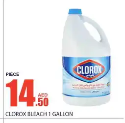 Bismi Wholesale CLOROX Bleach offer