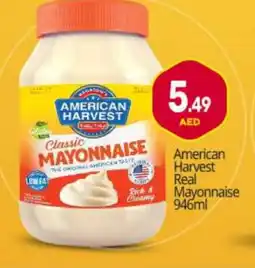 Bigmart AMERICAN HARVEST Mayonnaise offer