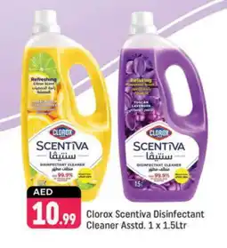 Shaklan CLOROX Disinfectant offer