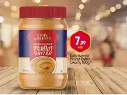 Bigmart AMERICAN HARVEST Peanut Butter offer