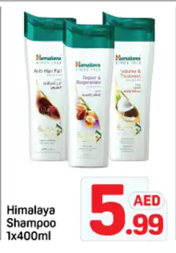 Day To Day Himalaya Shampoo offer