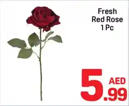 Day To Day Fresh Red Rose offer