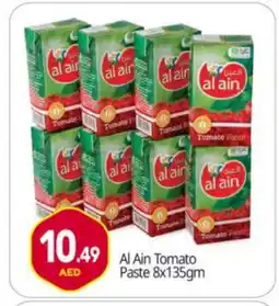 Bigmart AL AIN Tomato Paste offer