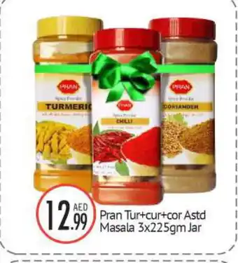 Bigmart PRAN Spices / Masala offer