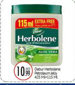 Bigmart DABUR Petroleum Jelly offer