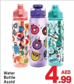 Day To Day Water Bottle Asstd offer