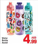 Day To Day Water Bottle Asstd offer