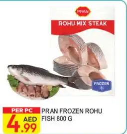 Dream Land Center Pran Frozen Rohu Fish offer