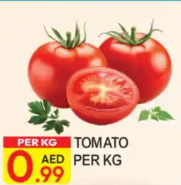 Dream Land Center Tomato offer