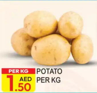 Dream Land Center Potato offer