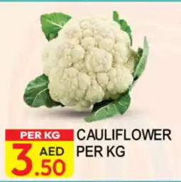 Dream Land Center Cauliflower offer