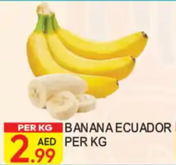 Dream Land Center Banana Ecuador offer