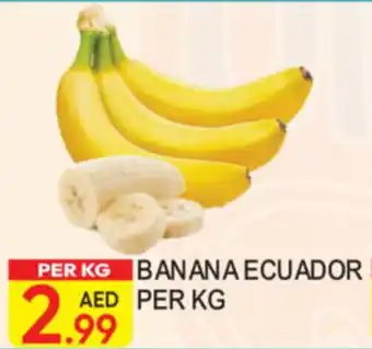 Dream Land Center Banana Ecuador offer