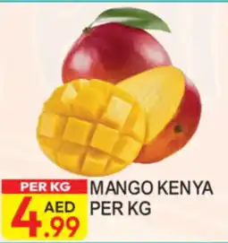 Dream Land Center Mango Kenya offer