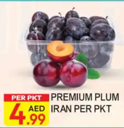 Dream Land Center Premium Plum Iran offer