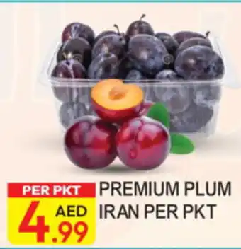 Dream Land Center Premium Plum Iran offer