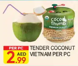 Dream Land Center Tender Coconut Vietnam offer