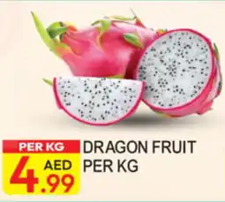 Dream Land Center Dragon Fruit offer