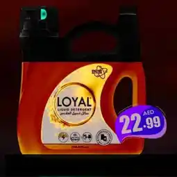 Amber Loyal Power Gel offer