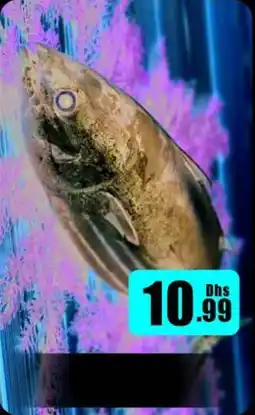 Amber Tuna offer