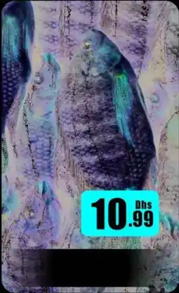 Amber Tilapia offer