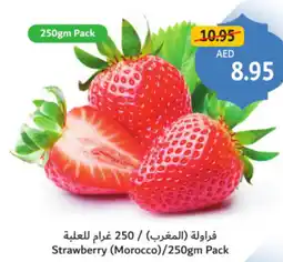 Union Coop Strawberry (Morocco) offer