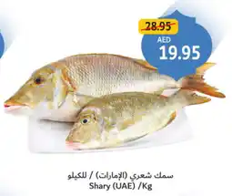 Union Coop Shary (UAE) offer