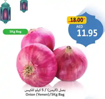 Union Coop Onion (Yemen) offer