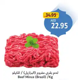 Union Coop Beef Mince (Brazil) offer