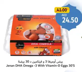 Union Coop Jenan DHA Omegan3 With Vitaminn D Eggs 30'S offer