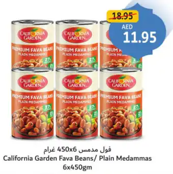 Union Coop California Garden Fava Beans, Plain Medammas offer