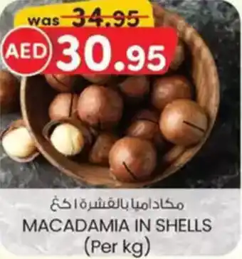 KM Trading Macadamia in shells offer