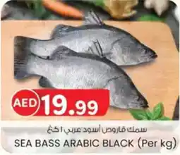 KM Trading Sea bass arabic black offer