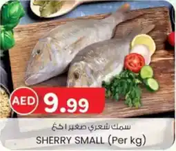 KM Trading Sherry small offer