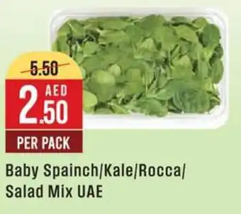 West Zone Supermarket Baby Spainch, Kale, Rocca, Salad Mix UAE offer