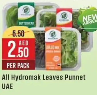 West Zone Supermarket All Hydromak Leaves Punnet UAE offer