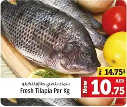 Kenz Hypermarket Fresh Tilapia offer