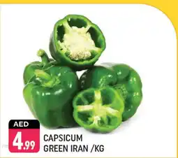 Shaklan Capsicum Green Iran offer