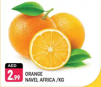 Shaklan Orange Navel Africa offer