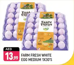 Shaklan Farm Fresh White Egg Medium 1 x 30's offer