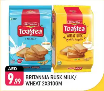 Shaklan Britannia Rusk Milk, Wheat offer