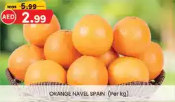 KM Trading Orange navel Spain offer