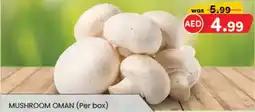 KM Trading Mushroom Oman offer