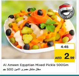 Nesto AL AMEEN Pickle offer