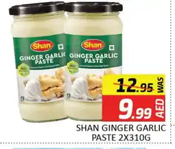 Mango Hypermarket LLC SHAN Garlic Paste offer