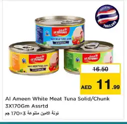 Nesto AL AMEEN Tuna - Canned offer