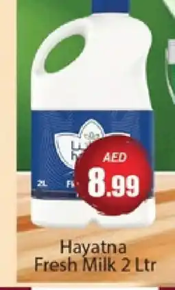 Al Madina HAYATNA Fresh Milk offer